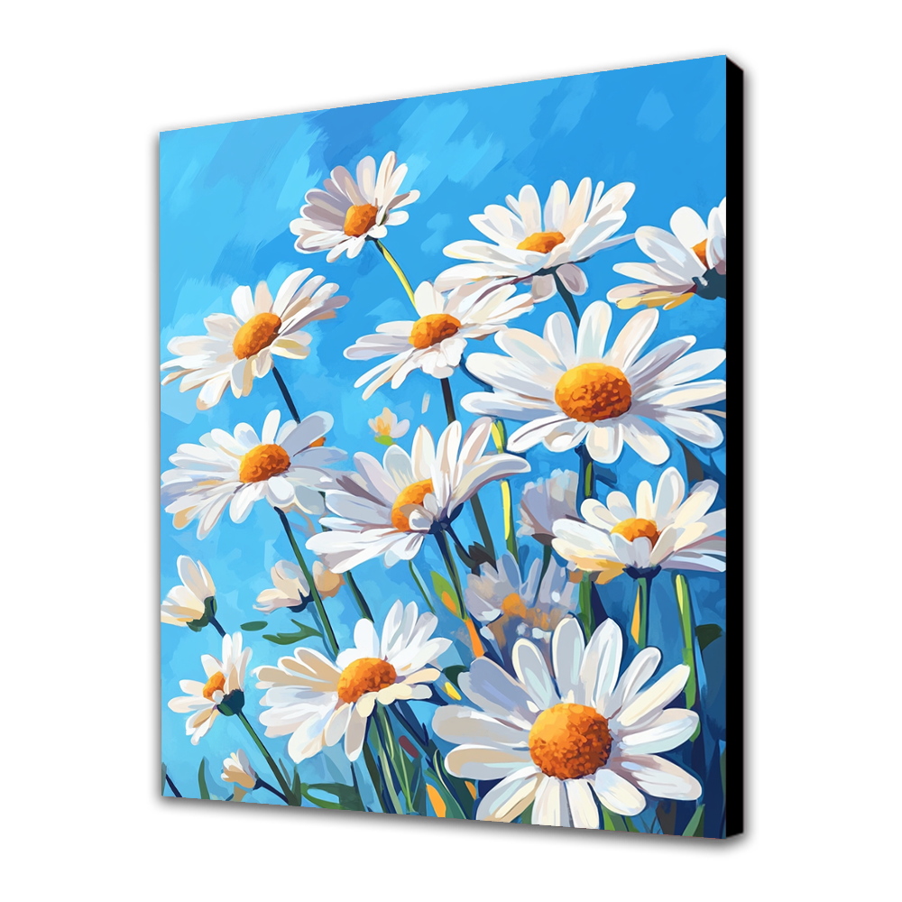 Daisies in the Summer Sky