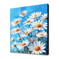 Daisies in the Summer Sky